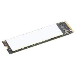 TP 2TB SSD PERFORM PCIE G4