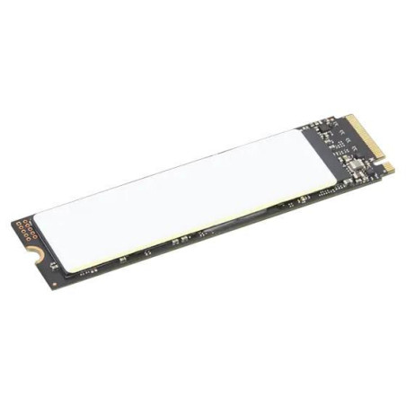 TP 2TB SSD PERFORM PCIE G4