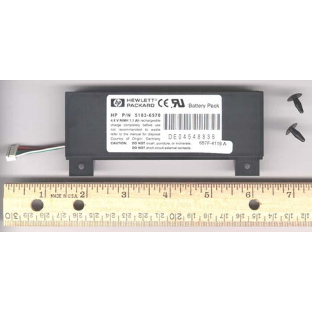 Netserver backup power battery