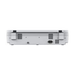 Epson WorkForce DS-50000, 600 x 600 DPI, 16 bit, 48 bit, 4 seg/página, Escáner de cama plana, Blanco