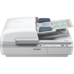 Epson WorkForce DS-7500, 216 x 1016 mm, 1200 x 1200 DPI, 48 bit, 24 bit, Escáner de superficie plana y alimentador automático de