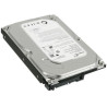 250GB 7200 N SATA