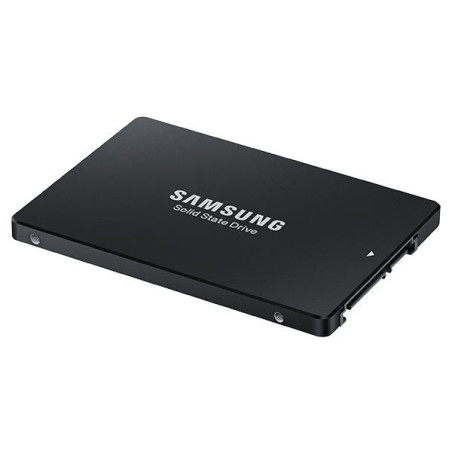 LTS TS150 2.5in 240GB PM863a