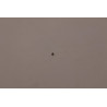 Specialized screw 1.6mm x