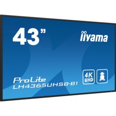 43" 3840x2160, UHD IPS panel
