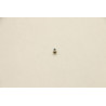 Replacement screw for Lenovo