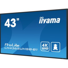 43" 3840x2160, UHD IPS panel