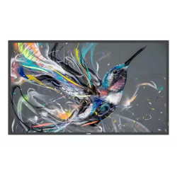 55" Q-Line 18/7, 4K UHD, | APLIUM