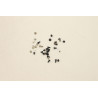 ThinkPad Intel Screw Kit for
