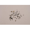 SCREW Screw Kit