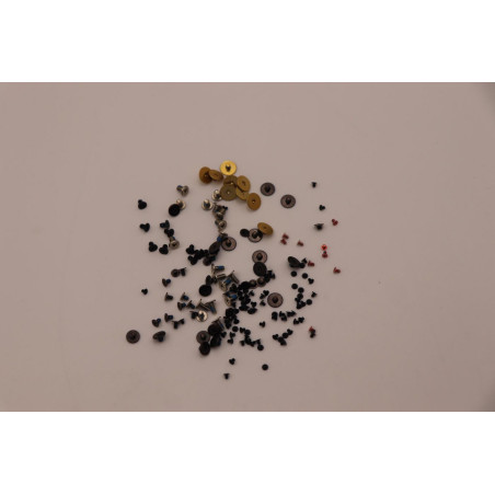 SCREW SCREW KIT