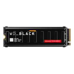 256GB SSD SATA 6.0 GBPS