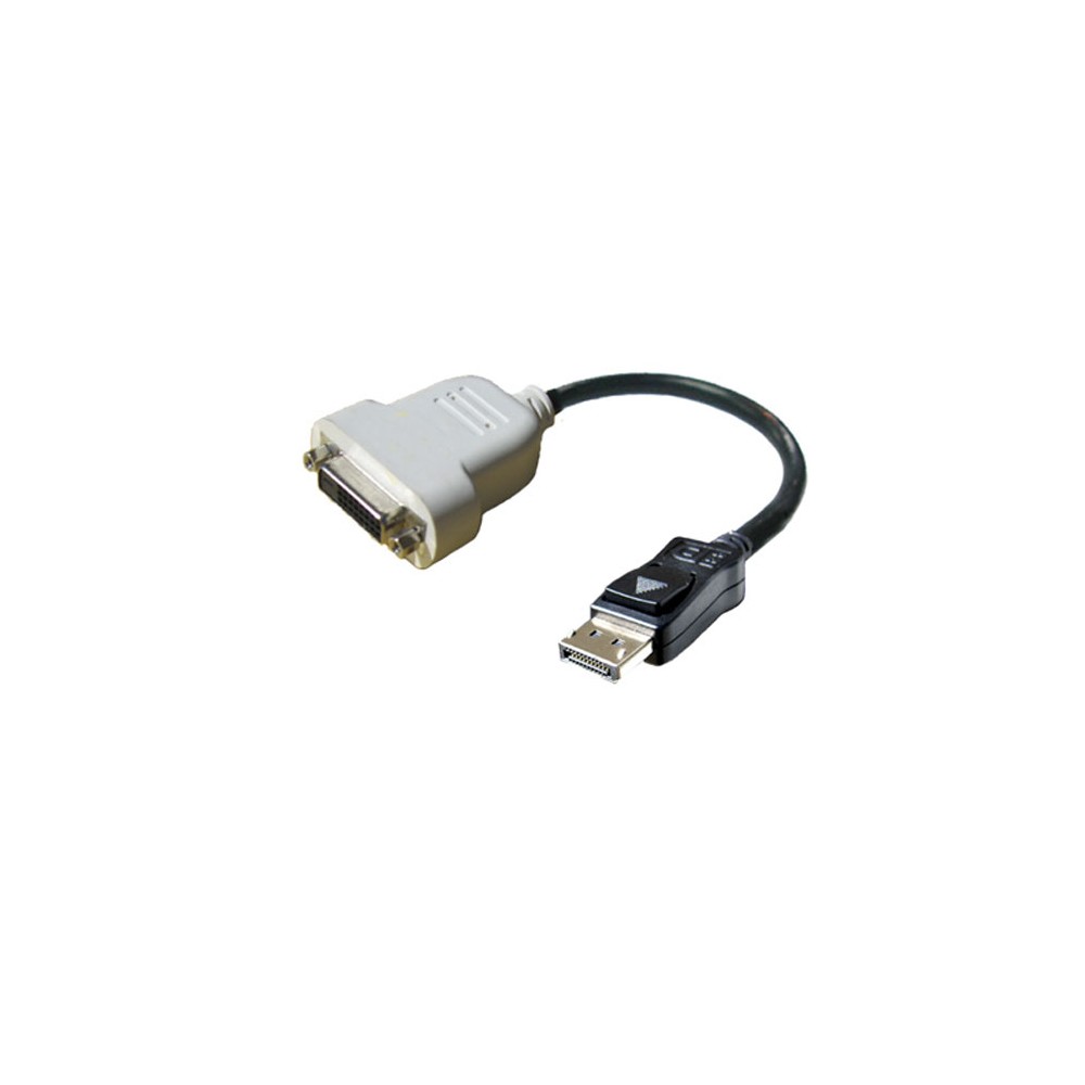 Display Port to DVI Adaptor Display Port to DVI Adaptor