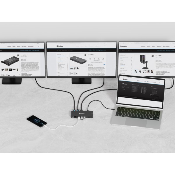 USB-C 13in1 DockingStation Pro