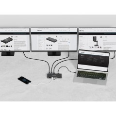 USB-C 13in1 DockingStation Pro