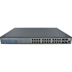 Commercial Managed Switch, 22