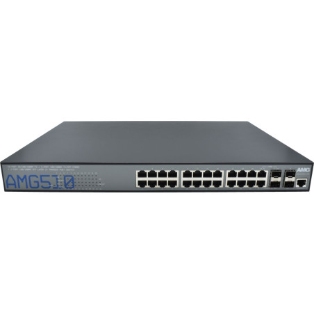 Commercial Managed Switch, 22