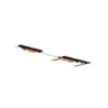 Antenna Dual