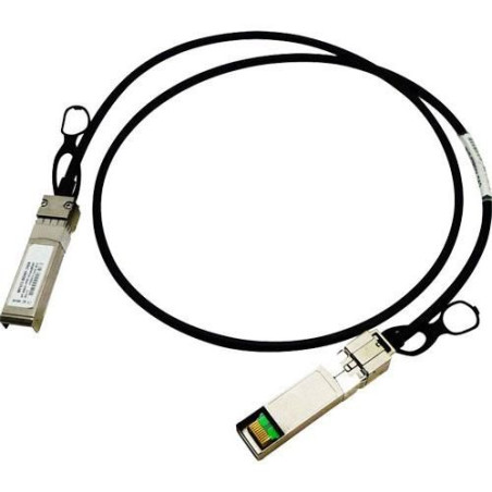 SFP+ 10 Gigabit Ethernet