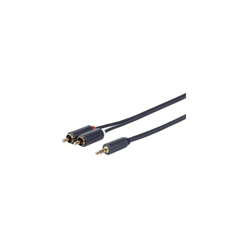 3.5MM - 2 X RCA M-M