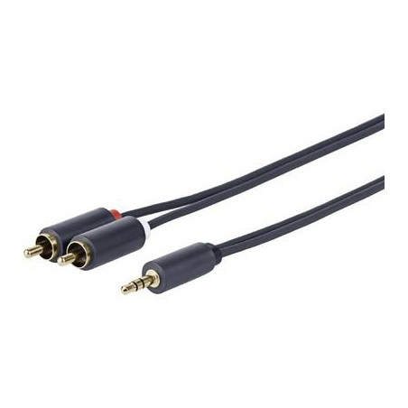 3.5MM - 2 X RCA M-M