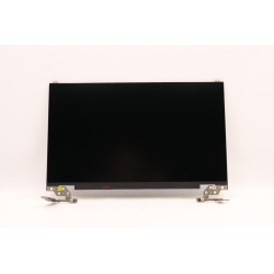 17.3" HD+ LCD module for