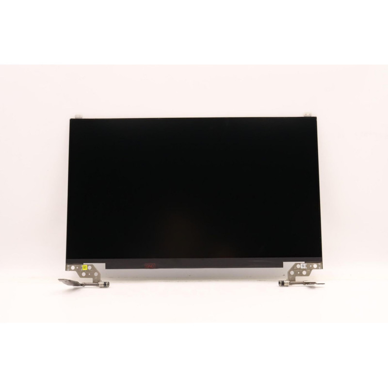 17.3" HD+ LCD module for