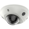 Dome,Fixed Lens,IP67IK08,2MP