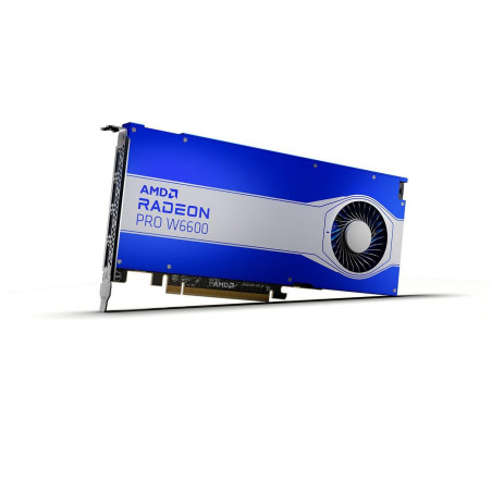 RadeonT PRO W6600 Radeon PRO