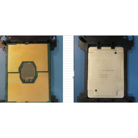 Intel Xeon Gold 6144 8-Core