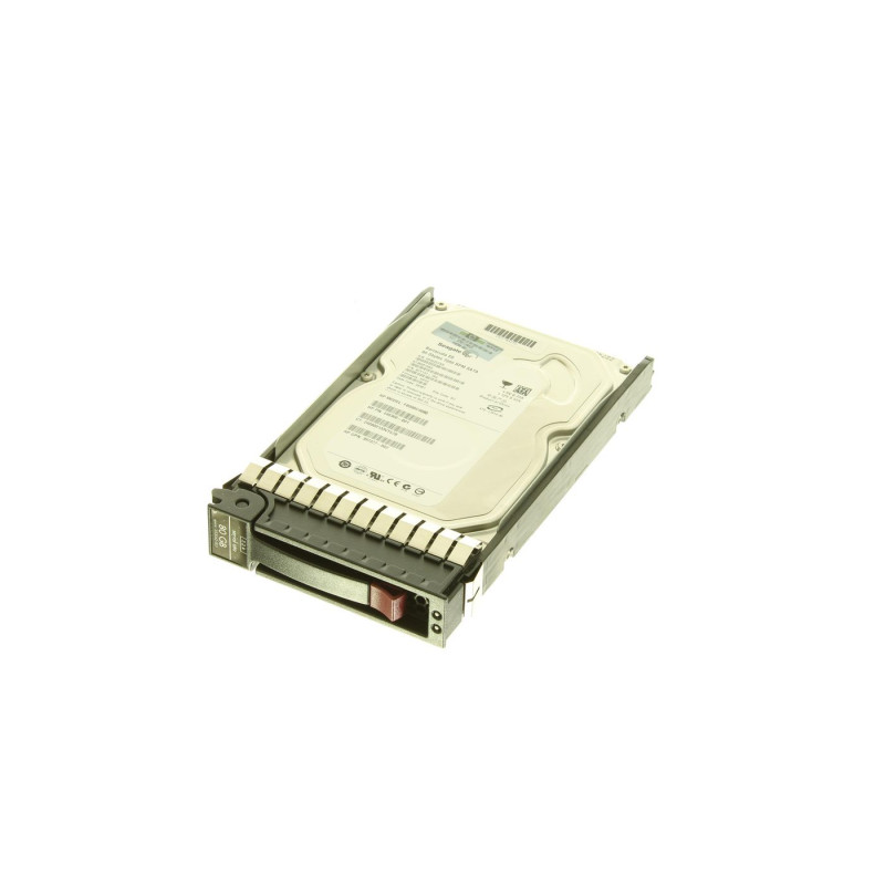DRV,HD,80GB,SATA,ISS, HS