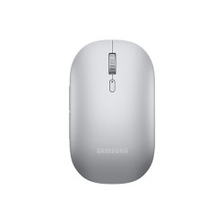 Common Silver Bluetooth Mouse