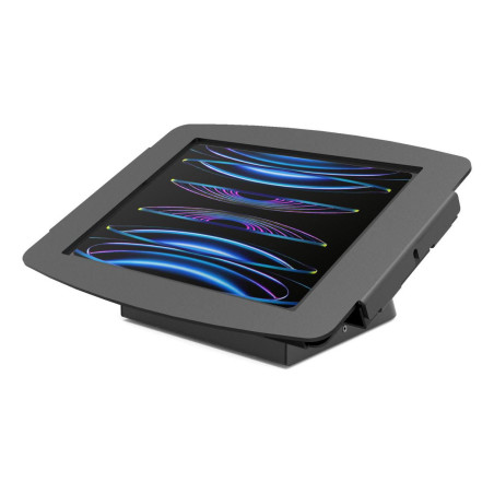 iPad Pro 11" (1-4th Gen)
