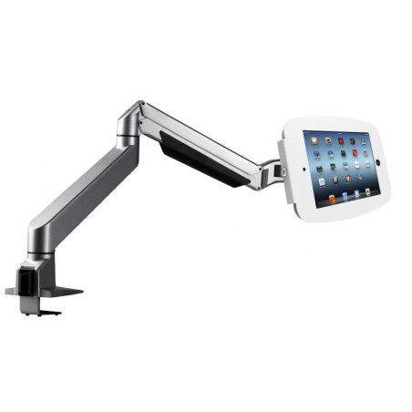 iPad Pro 12.9" (3-6th Gen)