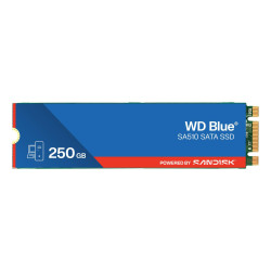Blue Sa510 250 Gb M.2 Serial