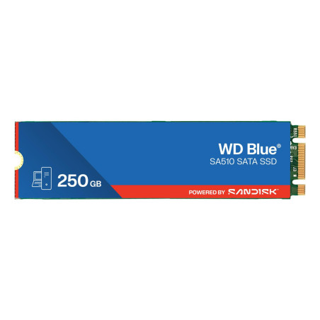Blue Sa510 250 Gb M.2 Serial