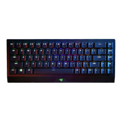 Blackwidow V3 Mini Hyperspeed