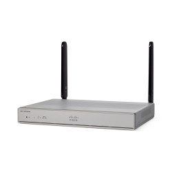 Wired router Silver -