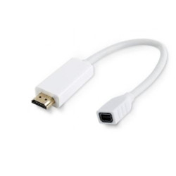 Active Adapter Mini