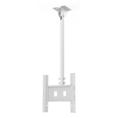 Func Ceiling LP Medium Single
