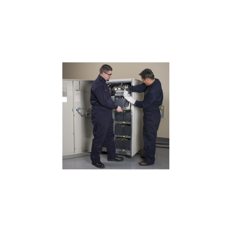 1 Battery Preventive Maintenance Visit