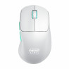M64 Wireless White Mouse Wireless | APLIUM