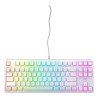 K4V2 Rgb Tenkeyless White