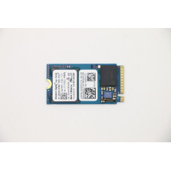 256GB PCIe NVMe M.2 2242 SSD
