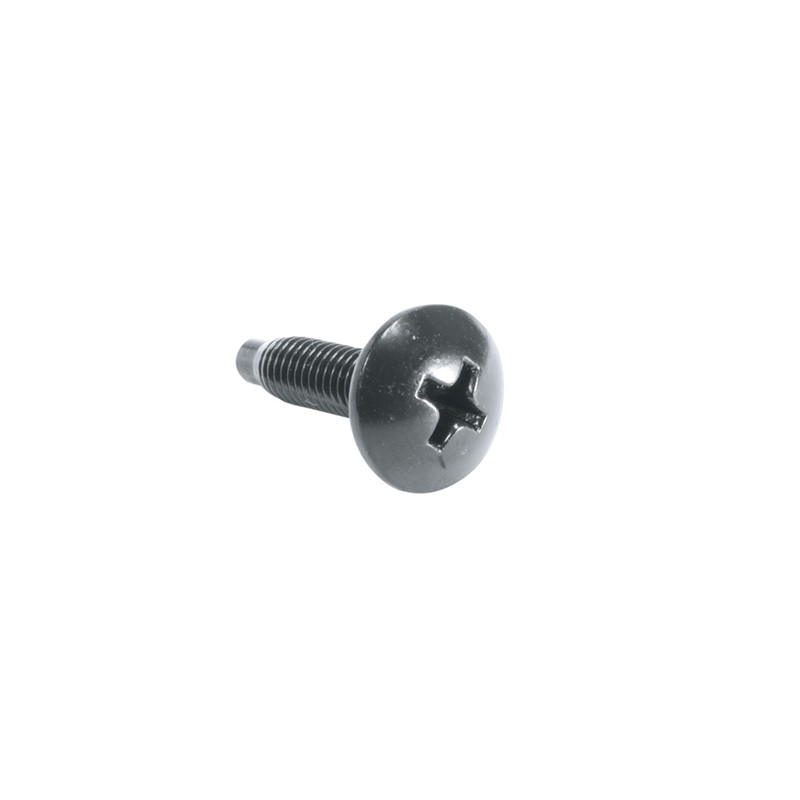 100PC 10-32 RUST RST SCW