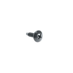 100PC 10-32 RUST RST SCW
