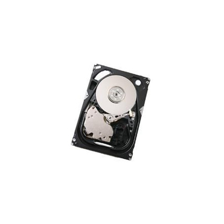 73GB Scsi Ultrastar 15K300 | APLIUM
