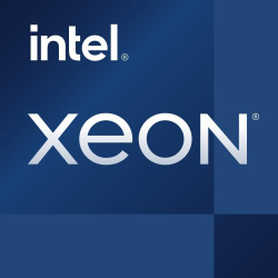 Intel Xeon E-2378G procesador 2,8 GHz 16 MB Smart Cache | APLIUM