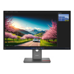 Thinkvision P32Ud-40 Computer