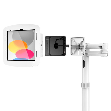 iPad Pro 12.9" (3-6th Gen)